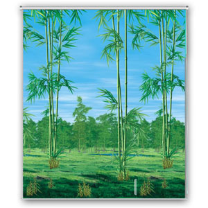 60 x 78 inches Roller Blind - Bamboo Trees