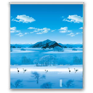 36 x 78 inches Roller Blind - Winter