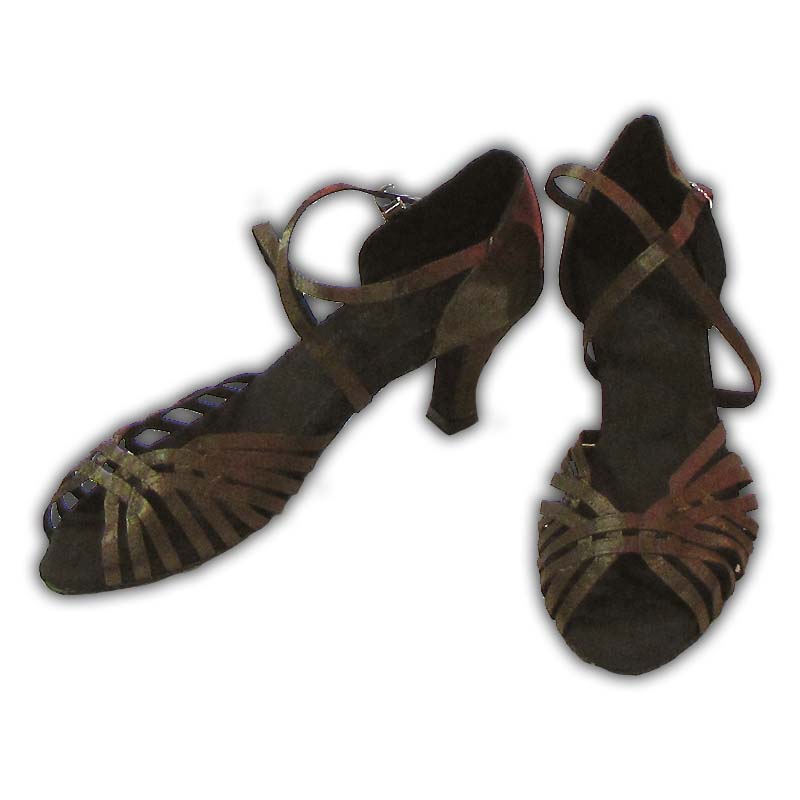 Women Dance Shoes Latin Ballroom Tango Salsa - #SHL34